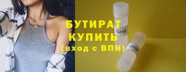 сатива Ельня