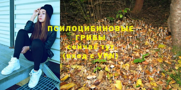 трава Абдулино
