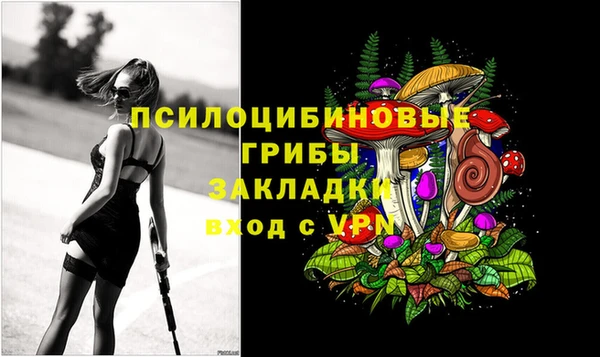 трава Абдулино