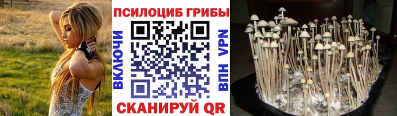 дарк нет формула продажа наркотиков Электросталь Псилоцибиновые грибы мицелий